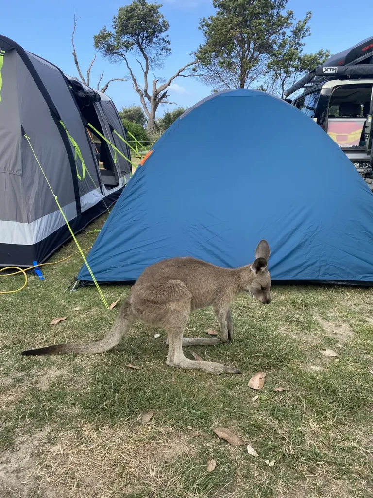 holiday park
